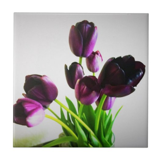 Dunkle Lila Tulips Fliese (Vorderseite)
