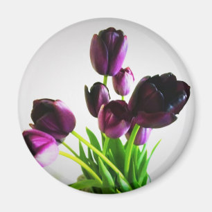 Dunkle Lila Tulips Magnet