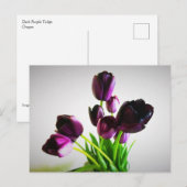 Dunkle Lila Tulips Postkarte (Vorne/Hinten)