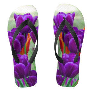 Dunkle lila Tulpen an einem sonnigen Tag im Garten Badesandalen
