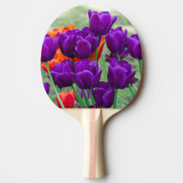 Dunkle lila Tulpen an einem sonnigen Tag im Garten Tischtennis Schläger