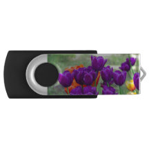 Dunkle lila Tulpen an einem sonnigen Tag im Garten