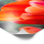 Dunkle lila Tulpen Fotodruck (Ecke)