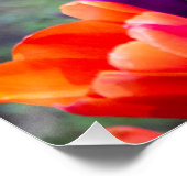 Dunkle lila Tulpen Poster (Ecke)