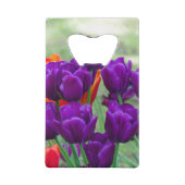 Dunkle lila Tulpen-Puppe Geldbeutel Flaschenöffner (Rückseite)