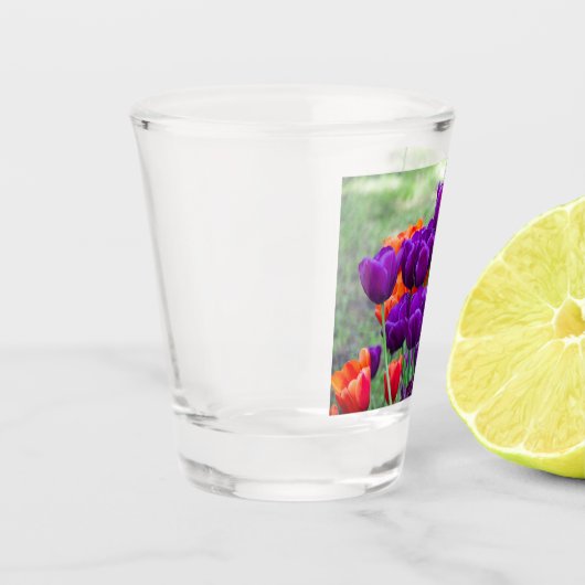 Dunkle lila Tulpen-Puppe Schnapsglas (Links)