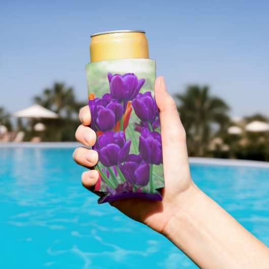 Dunkle lila Tulpen-Puppe Selters Dosenkühler (In Situ Pool)
