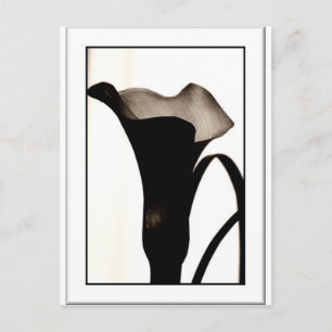 Dunkle Lüge Postkarte