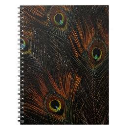 Dunkle Mandarine Peacock Feathers Notizblock