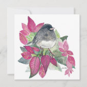 Dunkle Mit Augen Junco-Vogelkarte Karte (Vorderseite)