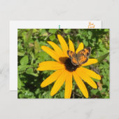 Dunkle mit Augen Susan mit Perlschmetterling Postkarte (Vorne/Hinten)