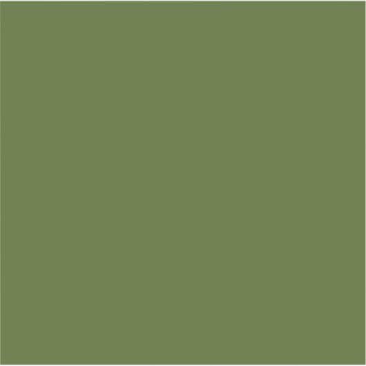 Dunkle Moosfarbe Grün Solid Farbe Aufkleber (Vorderseite)