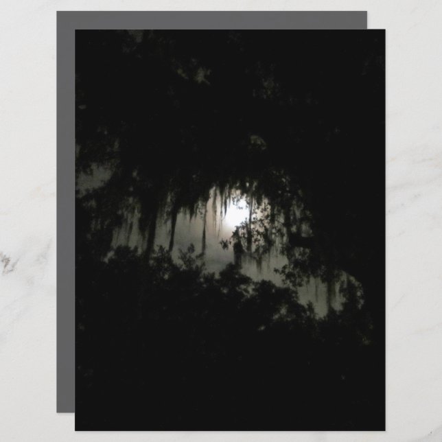 Dunkle Nacht-Bücherei-Papier (Vorne/Hinten)