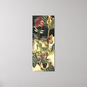 Dunkle Natur-Szene durch Visions-Studio Leinwanddruck