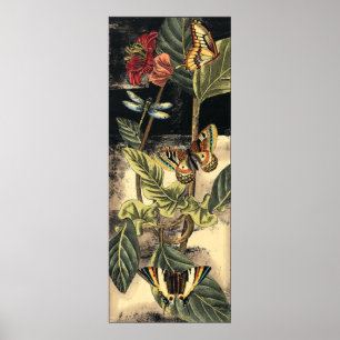 Dunkle Natur-Szene durch Visions-Studio Poster