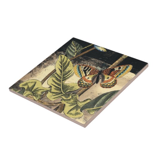 Dunkle Naturlandschaft durch Vision Studio Fliese (Seite)