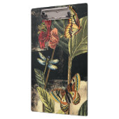 Dunkle Naturlandschaft durch Vision Studio Klemmbrett (Links)