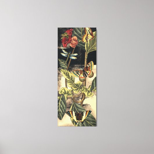 Dunkle Naturlandschaft durch Vision Studio Leinwanddruck (Vorderseite)