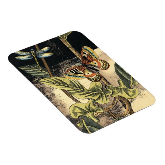 Dunkle Naturlandschaft durch Vision Studio Magnet (Rechte Seite)