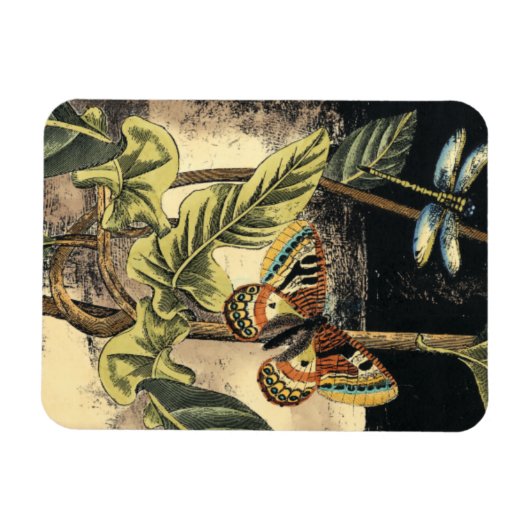 Dunkle Naturlandschaft durch Vision Studio Magnet (Horizontal)