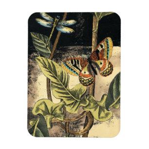 Dunkle Naturlandschaft durch Vision Studio Magnet