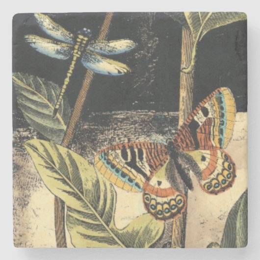 Dunkle Naturlandschaft durch Vision Studio Steinuntersetzer (Vorderseite)