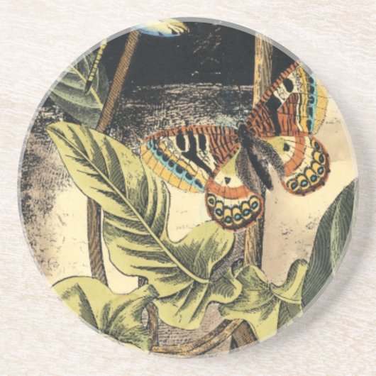 Dunkle Naturlandschaft durch Vision Studio Untersetzer (Vorne)