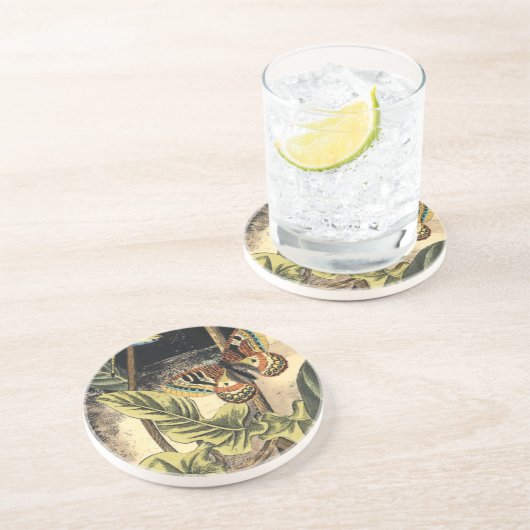 Dunkle Naturlandschaft durch Vision Studio Untersetzer (Seite)