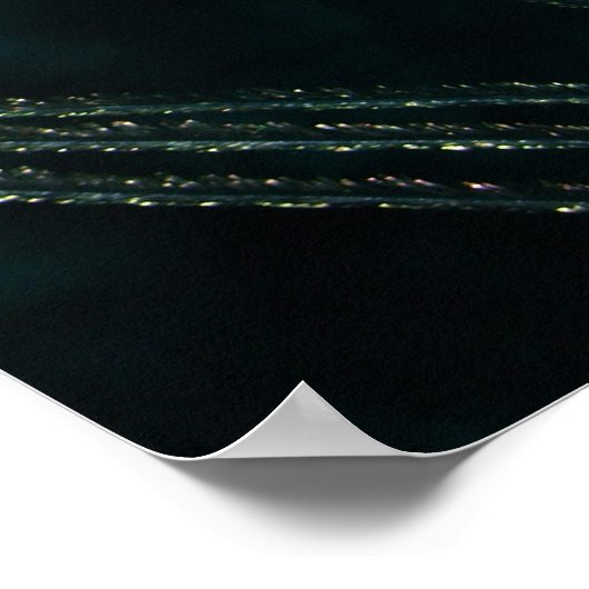 Dunkle Pfauenfeder Stillleben Poster (Ecke)