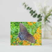 Dunkle Phase Tiger Frack Butterfly Items Postkarte (Stehend Vorderseite)