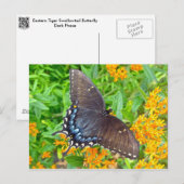 Dunkle Phase Tiger Frack Butterfly Items Postkarte (Vorne/Hinten)