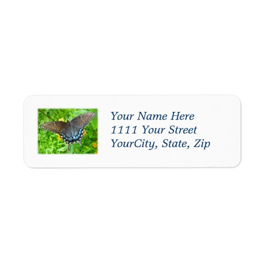 Dunkle Phase Tiger Frack Butterfly Label (Vorne)