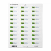 Dunkle Phase Tiger Frack Butterfly Label (Vorne)