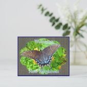 Dunkle Phase Tiger Frack Willkommen Nachbarn Postkarte (Stehend Vorderseite)