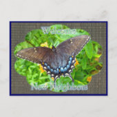 Dunkle Phase Tiger Frack Willkommen Nachbarn Postkarte (Vorderseite)