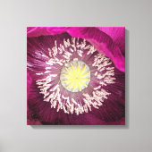 Dunkle Pink Oriental Mohnblume Floral Leinwanddruck (Vorderseite)