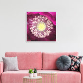 Dunkle Pink Oriental Mohnblume Floral Leinwanddruck (Insitu (Wohnzimmer))