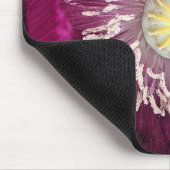 Dunkle rosa Orientalische Mohnblume Mousepad (Ecke)