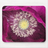 Dunkle rosa Orientalische Mohnblume Mousepad (Vorne)