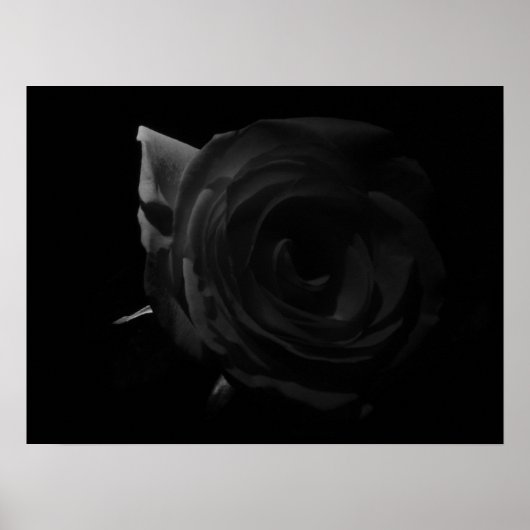 Dunkle Rose Poster (Vorne)