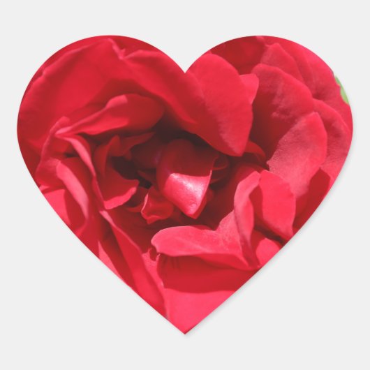 Dunkle rote Rose Bardou Job Herz-Aufkleber (Vorderseite)