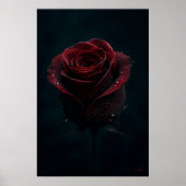 Dunkle Rote Rose Elegante Naturfotografie Poster (Vorne)