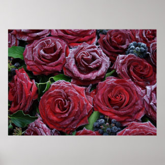 Dunkle Rote Rosen auf einem Grab gefroren Poster