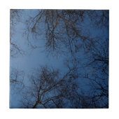 Dunkle Seidenbäume Fliese (Vorderseite)