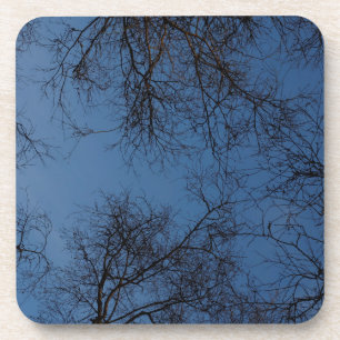Dunkle Seidenbäume Getränkeuntersetzer