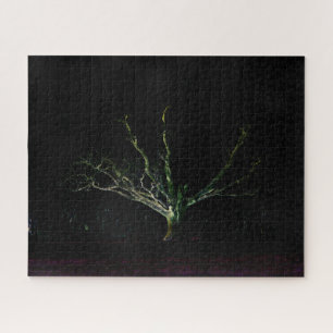 Dunkle Seite 1 16x20 520pc jpcna Puzzle