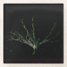 Dunkle Seite 1 Küste