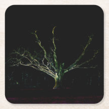 Dunkle Seite 1 Küste