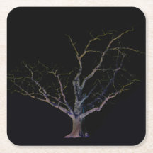 Dunkle Seite 2 Küste