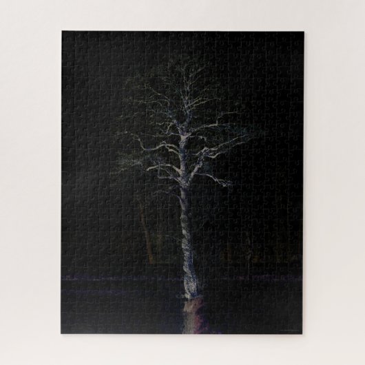 Dunkle Seite 3 16x20 520pc jpa Puzzle (Vertikal)